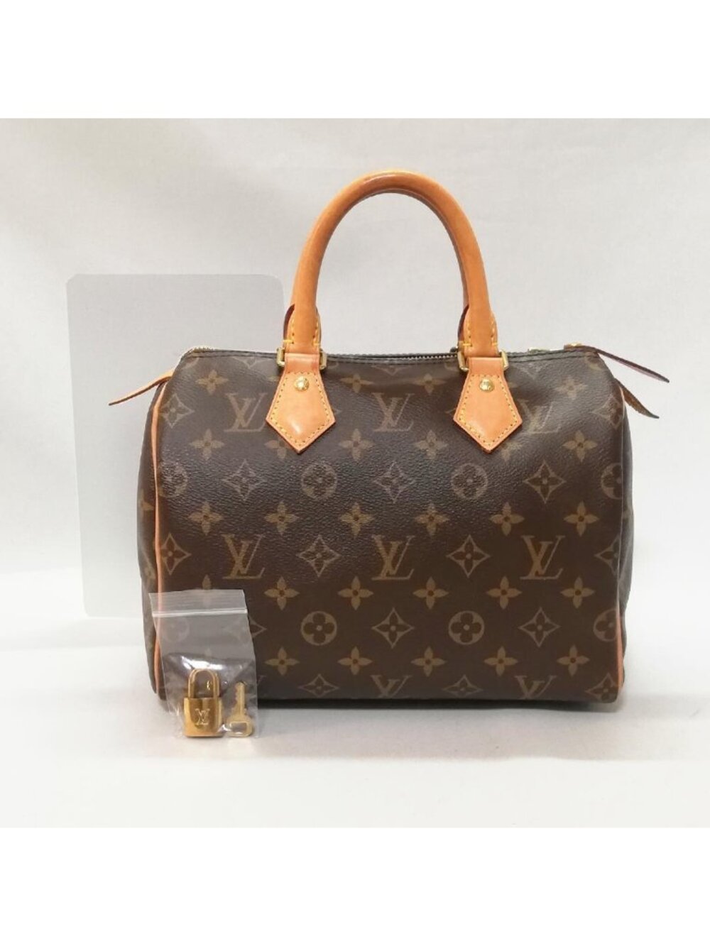 Louis Vuitton Speedy 25 Light Handbag